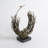 Bird's Nest-Verdi-11894000