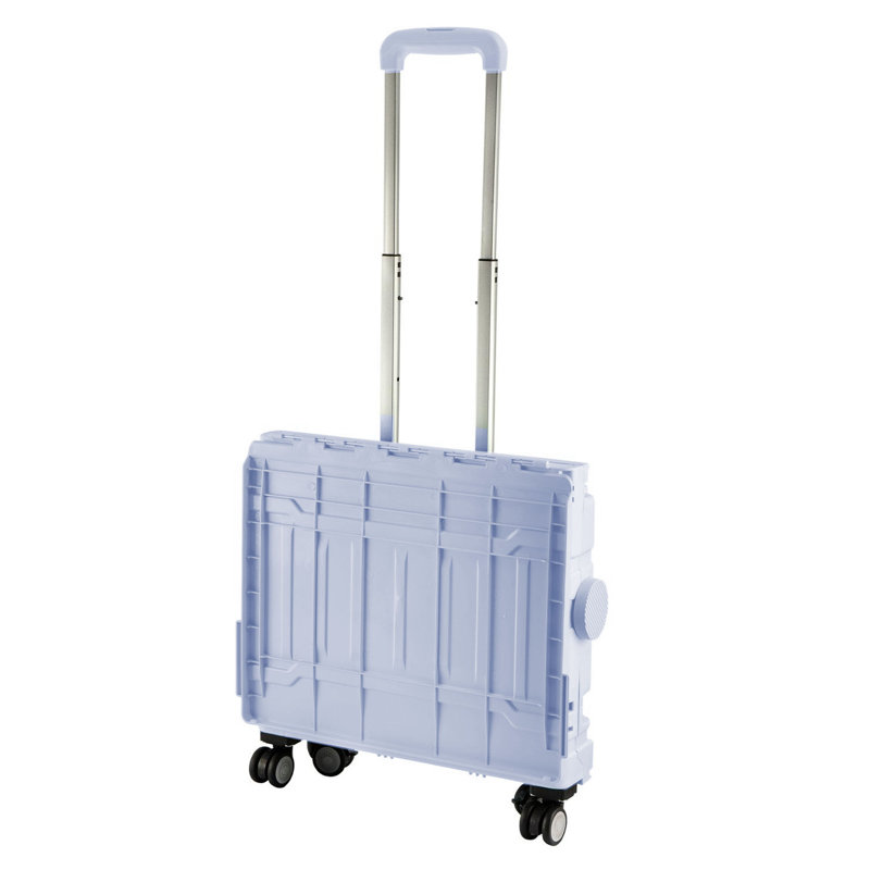 Rebrilliant Plastic Storage Tub & Tote, Purple