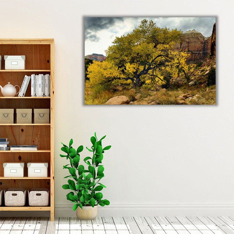 Brilliant View III - reproduction d'art sur toile, H 20 po x l 30 po