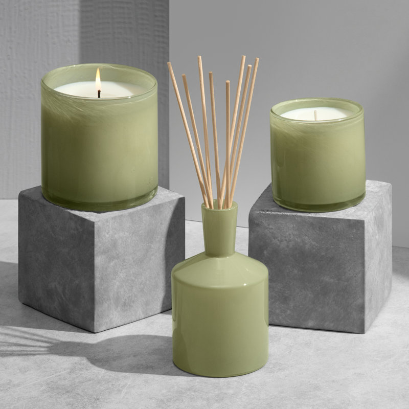 Wild Honeysuckle Classic Reed Diffuser, Green, Floral