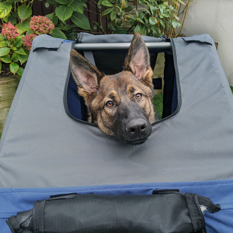 Pet Carrier, Blue