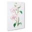 Evening Primrose Flowers in Pink - Wrapped Canvas-55304129