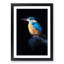 Kingfisher Bird in Abstract - Picture Frame Painting Print-55609533-55609534
