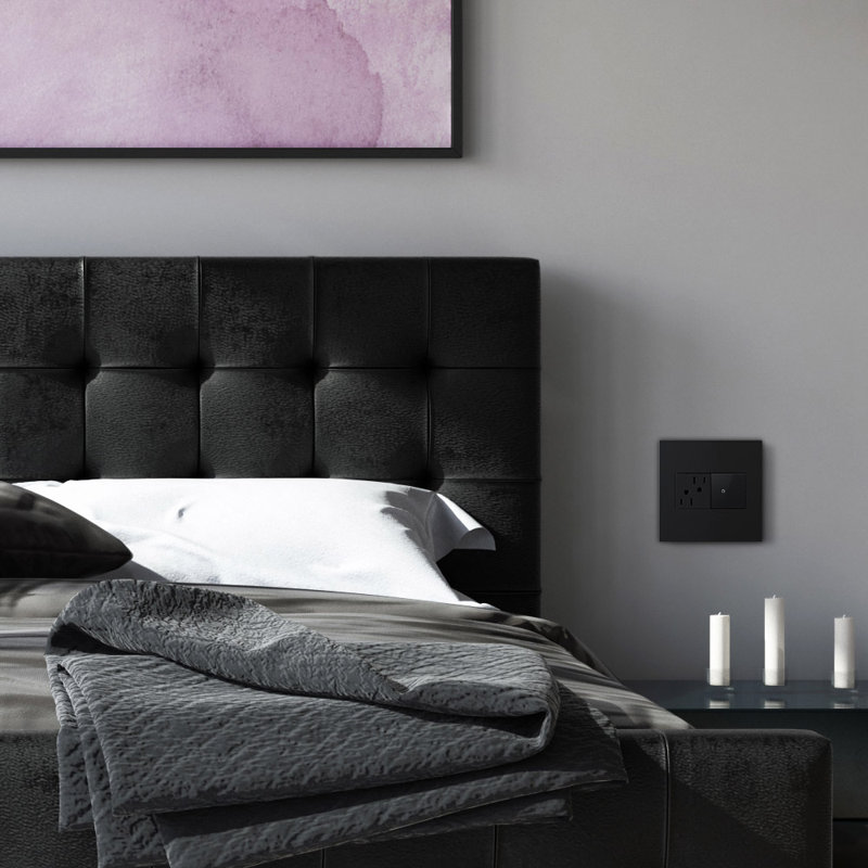 Prise de courant Adore® 15 ampères inviolable, Graphite