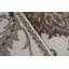 Trinity One-of-a-Kind 8'1" Area Rug