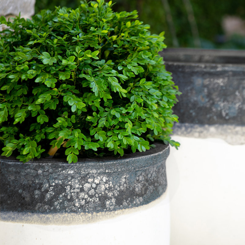 Pot à fleurs 19 po Tarsus - rivage / blanc mat, H 18 po x l 18,5 po x P 18,5 po