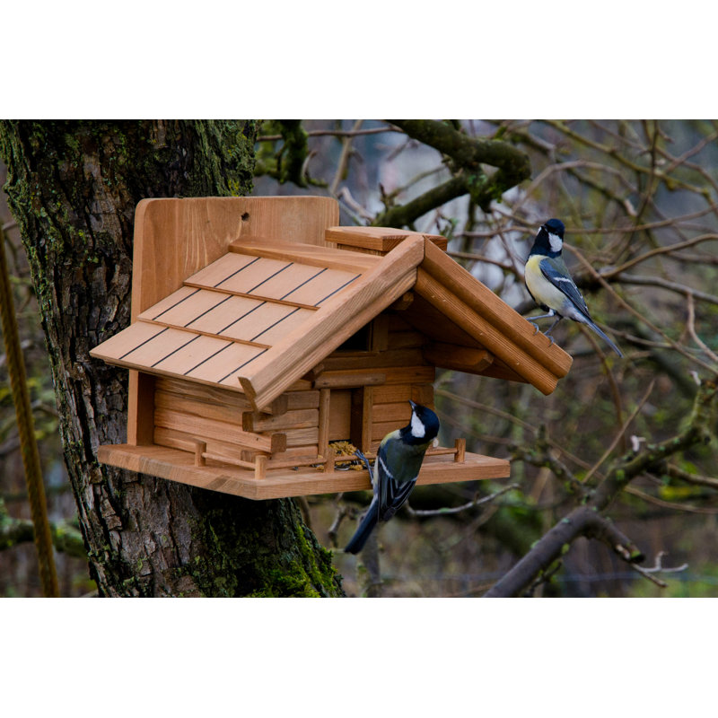 Amarrion Mounted Bird House