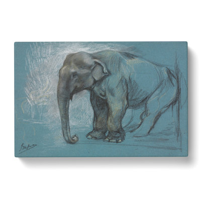 Study Of An Elephant by John Macallan Swan - Wrapped Canvas Painting