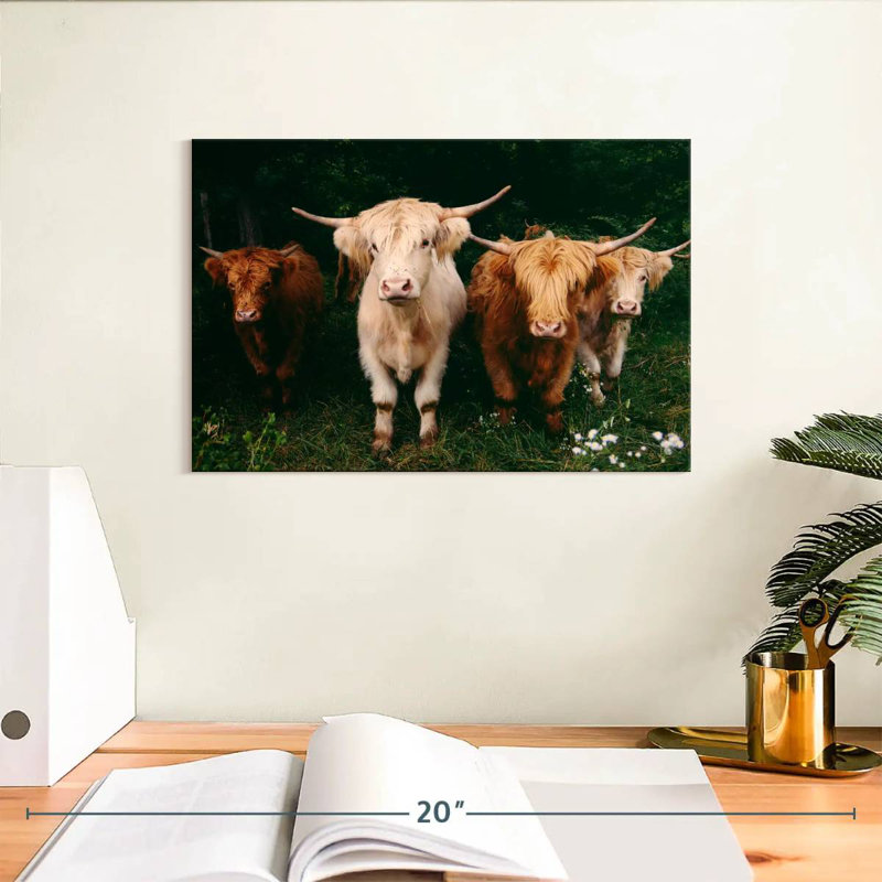 Light Haired Highland Cows, 8" H x 12" W