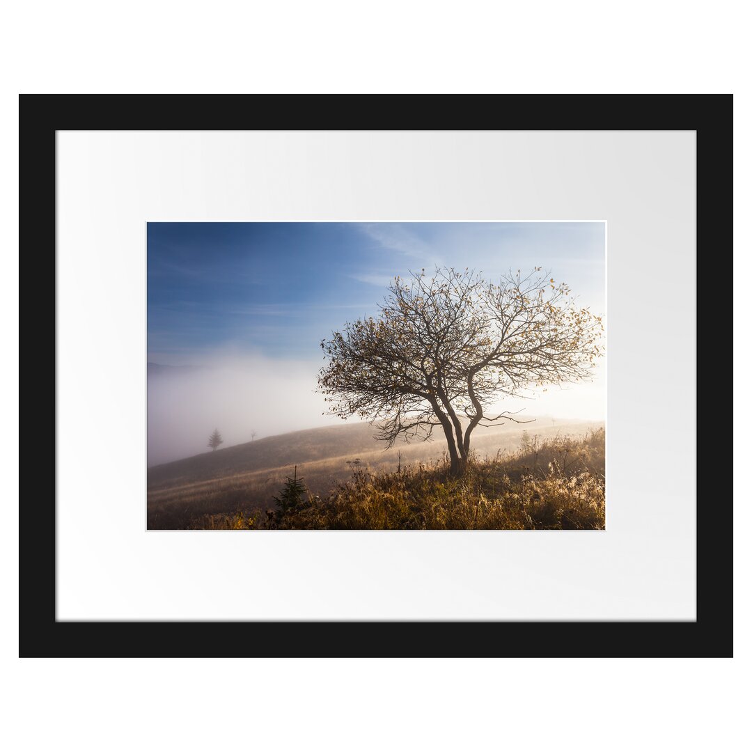 Gerahmtes Poster Baum im hohen Gras