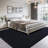 Rectangle Mardena Solid Color Machine Tufted Shag Microfiber Area Rug in Black-466226333