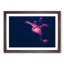 The Octopus in Abstract - Picture Frame Graphic Art Print-55763543-55763545