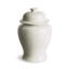 Ricki Ceramic Ginger Jar-1488949449-1513130369