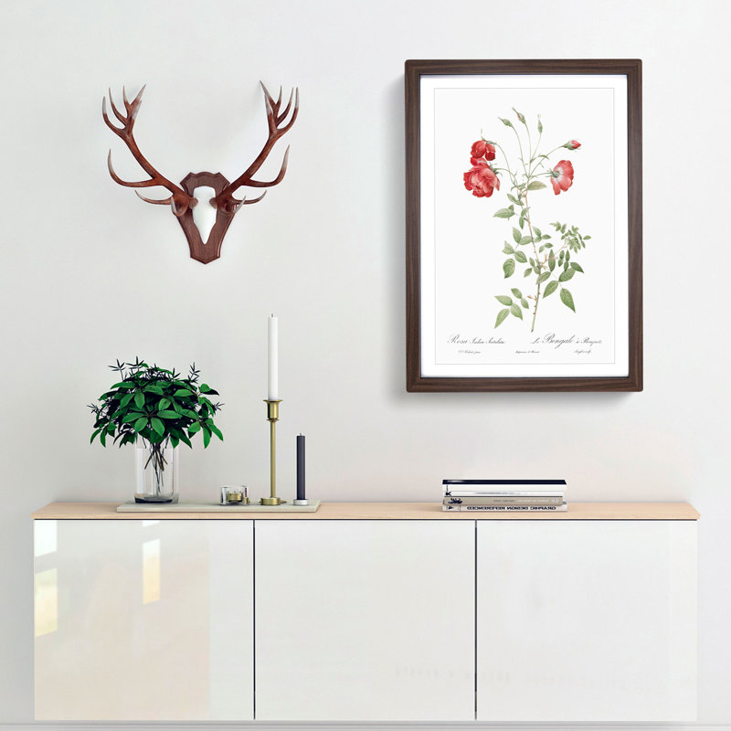 Red Roses by Pierre-Joseph Redoute - Picture Frame Painting Print, 65cm H x 48cm W x 2cm D, Walnut Framed