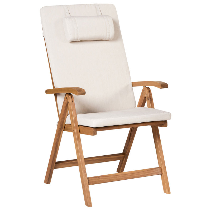 Aarica Folding Patio Dining Armchair with Cushion, Beige