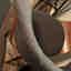 Photos des clients 1 de 1