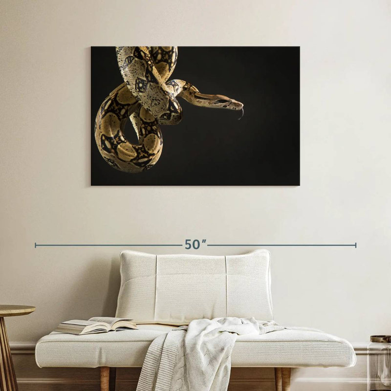 Serpent brun Brampt, H 26 po x l 39 po
