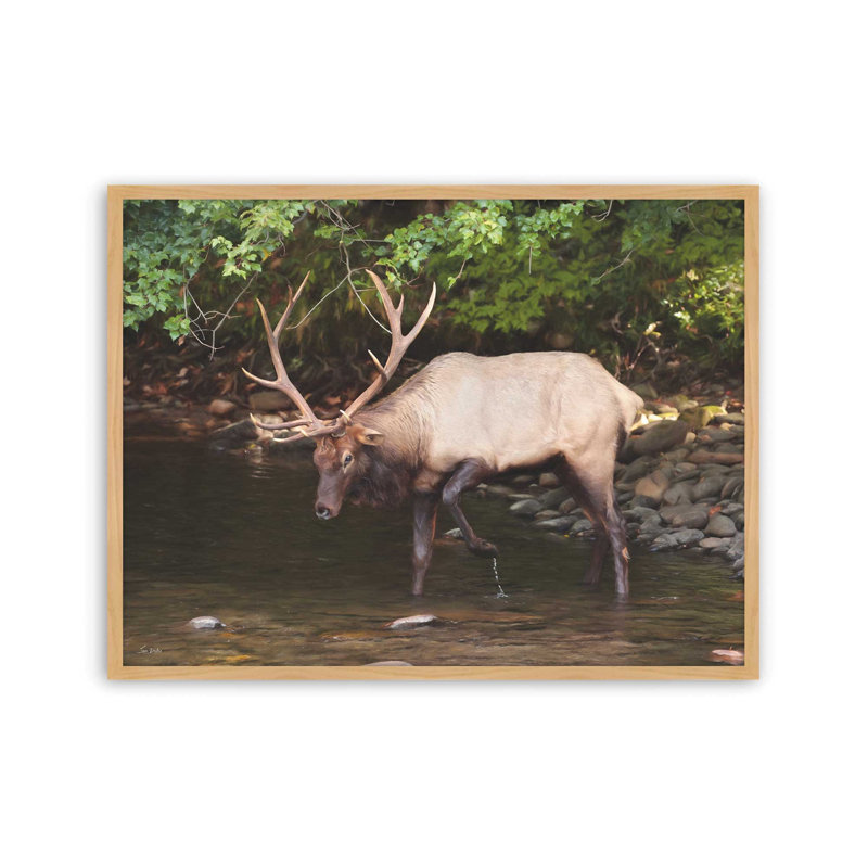 «Cherokee Elk II» par Lori Deiter, reproduction d'art, L 32 po x H 24 po, Tanné, Impression encadrée