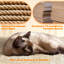 Multi-Level Cat Tree Tower with Condos and Scratching Posts for Small to Medium Cats-2059668260
