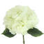 Faux Hydrangea Stems-439757789