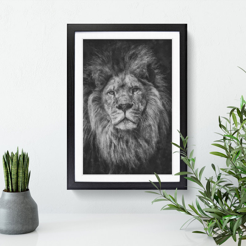 View of a Lion - Framed Print, 36cm H x 27cm W x 2cm D, Black