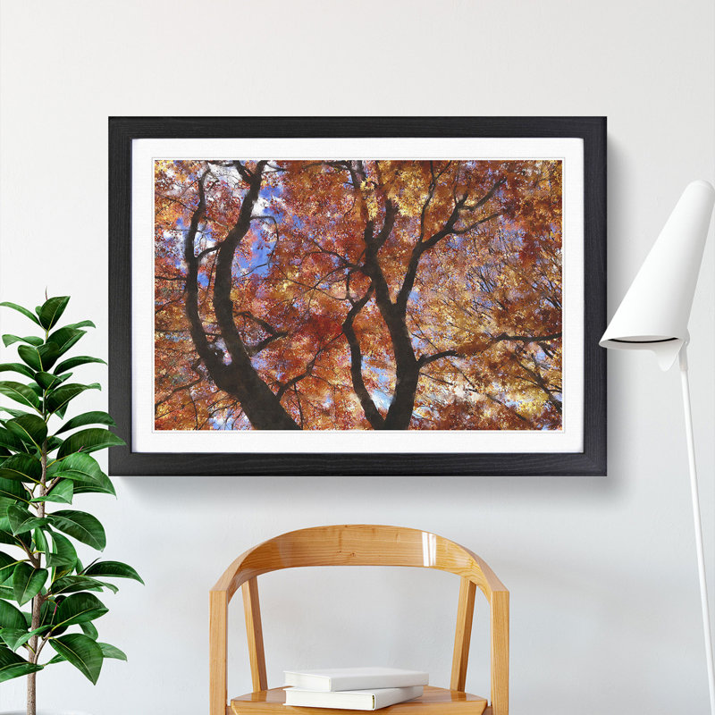 Maple Tree Vol.2 - Framed Print, Black Framed, 48cm H x 65cm W x 2cm D