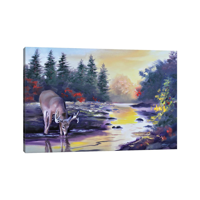 Buck Drinking From The Creek by D. "Rusty" Rust - Gallery-Wrapped Canvas Giclée on Canvas, 20.32 cm H x 30.48 cm W, Canvas