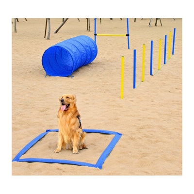 Polyester bleu pour chien