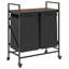 Laundry Sorter