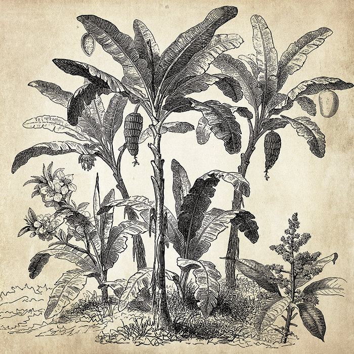 Basildene Matte Peel & Stick Mural, 208 x 146cm