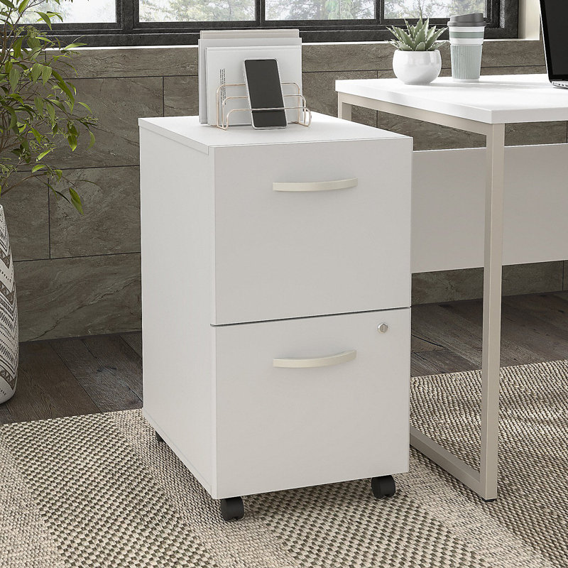 Kaneki 16'' Wide 2 -Drawer Mobile File Cabinet, White