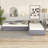 Upholstered Double Daybed with Trundle and Drawer-1430117700