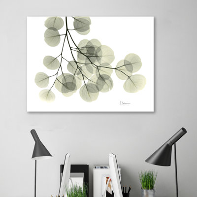 " Eucalyptus - L257 "