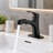 Single-Handle Bathroom Faucet with 20" Pull-Out Sprayer with 2 Spray Settings-134912247