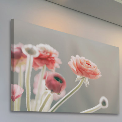 " Shades Of Blush " by Morgan Hartley