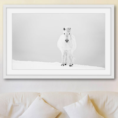 " Snowy White Horse "