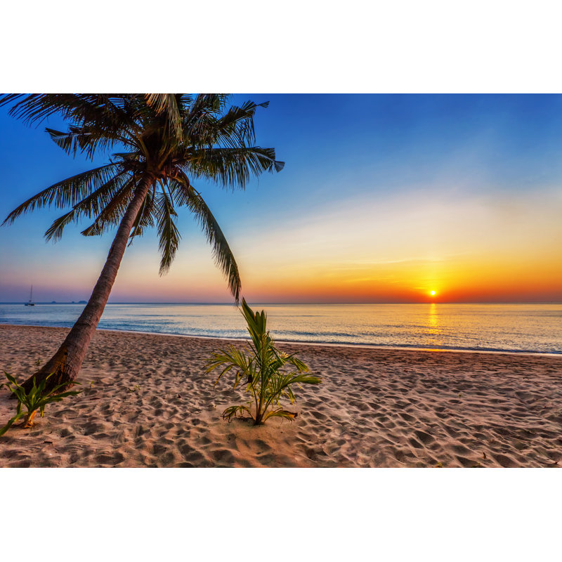 Tropical Beach At Sunset by DeltaOFF - Wrapped Canvas Print, 30cm H x 46cm W
