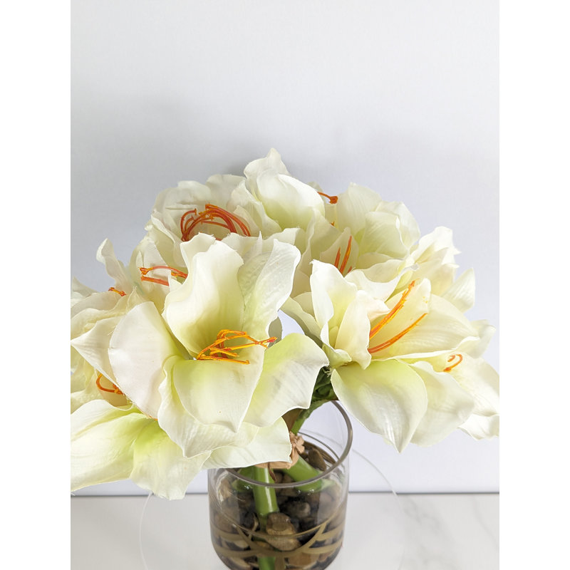 Amaryllis arrangement dans un vase