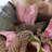 Easter Egg Wreath Burlap