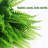 Fern Arrangement