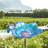 Glenford Glass Stake Birdbath