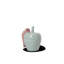 Poppery Apple With Larva Mint