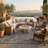 Liorisse Indoor/Outdoor Traditional Area Rug-2075321062-2075321061