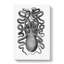 Octopus in Black & White by George Shaw - Wrapped Canvas-55360651