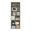 Nakeisha 62.5cm W Standard Bookcase-717708514