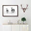 Two Zebras - Picture Frame Painting Print-56733651-56733654