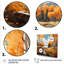 «Yellow Aspen Tree Forest Majesty I», impression d'art mural paysage-2096064434-2096064446