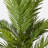 Faux Palm Tree in Pot-1918574914