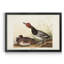 Red Headed Duck - reproduction d'art sur toile encadrée-1528513532-1528513472