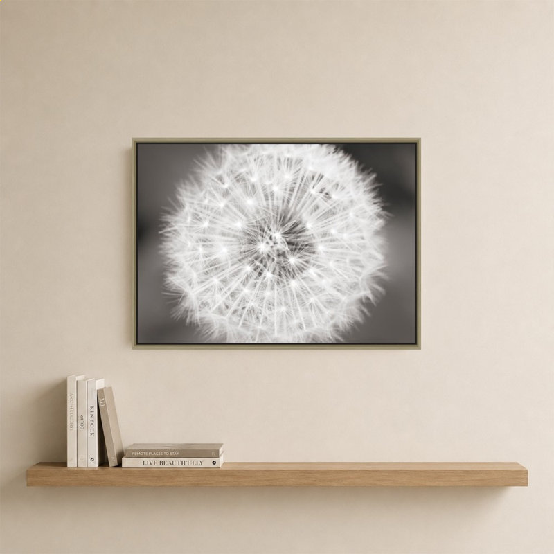 Dandelion Seedhead par Alan Majchrowicz - Impression sur toile, H 24 po x l 34 po, Champagne